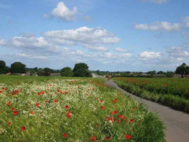 Back Lane, Morton-on-Swale